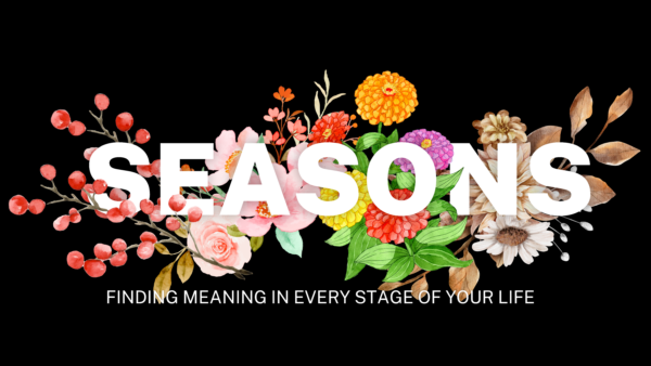 Seasons // Fall