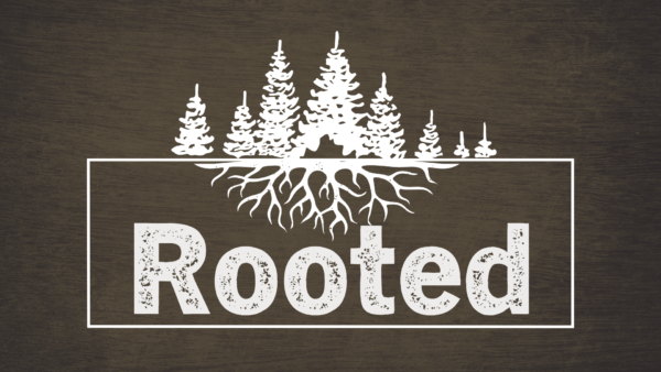 Rooted: Deep & Wide | Deep Roots Image
